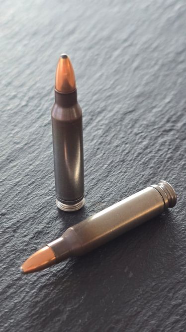 Hovedbilde Para-Bellum 5.56x45 mm Soft Point 55 grain Box of ...