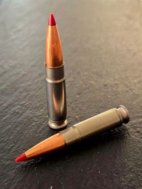 Hovedbilde Para-Bellum 300 BLK with 110 grain CX Hornady ...